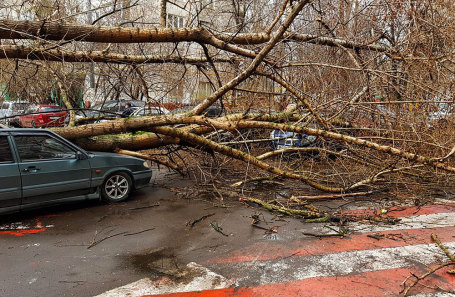 Последствия падения деревьев на улице Харьковская в Москве.