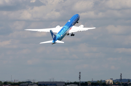 Boeing 787 Dreamliner во время 53-го Международного аэрокосмического салона в Ле-Бурже.