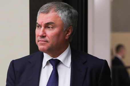 Вячеслав Володин.