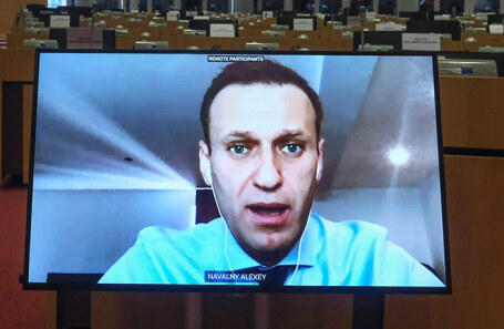Алексей Навальный во время выступления (по видеосвязи) в комитете по международным делам Европарламента. Брюссель, ноябрь 2020 года.