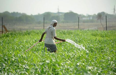 Фермер в Индии спасает посевы от засухи.