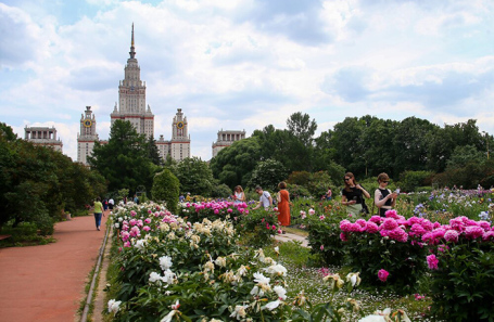 Воробьевы горы.