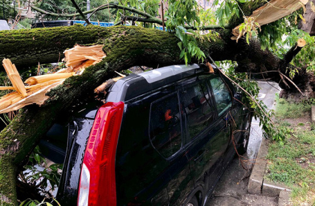 Последствия непогоды в Москве.