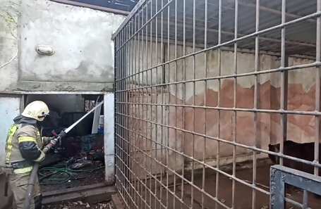 Во время тушения пожара зоопарка в Евпатории.