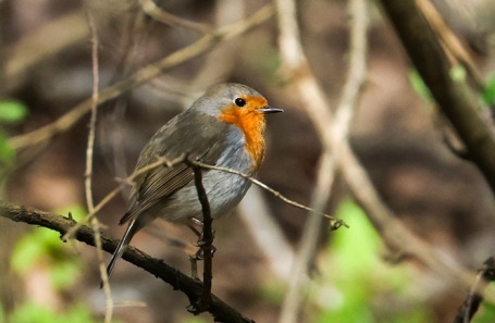 Весна в Москве.