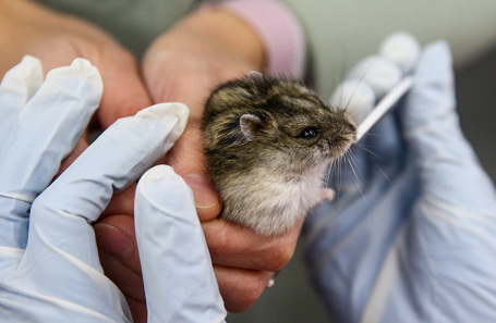 Архивное фото.