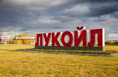 «Лукойл-Нижегороднефтеоргсинтез»