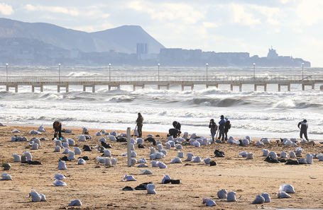 Мазут на пляжах Краснодарского края.