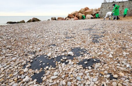 Севастополь. Волонтеры во время уборки разлитого мазута на пляже «Вязовая роща»