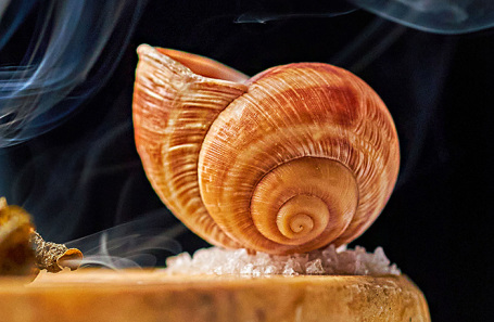 «Голод и Изобилие» в гранд-кафе «Шануар». Улитка.