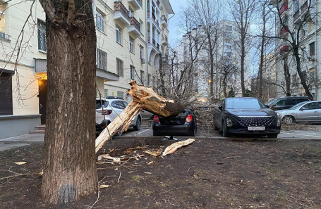 Последствия штормового ветра в Москве в марте.