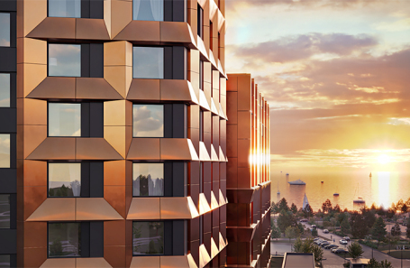 Проект «Новая Земля».