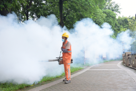 A mosquito, vector of Chikungunya fever