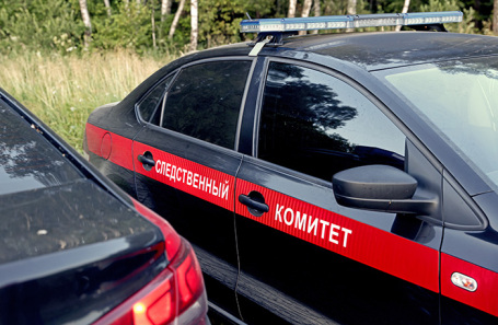 Следственный комитет начал проверку информации о рабах на ферме под Воронежем