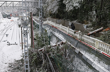 Последствия снегопада в Сочи.