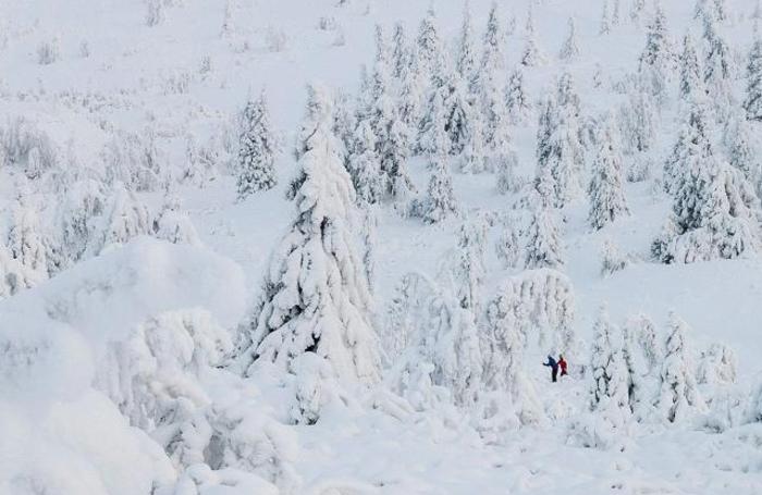 Белое безмолвие