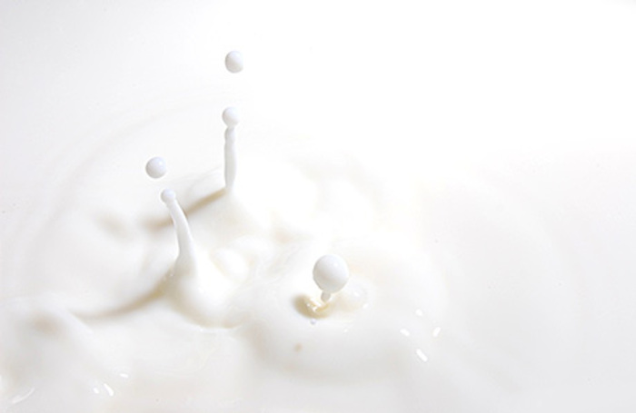 Сколько молока утекло из-за ящура?