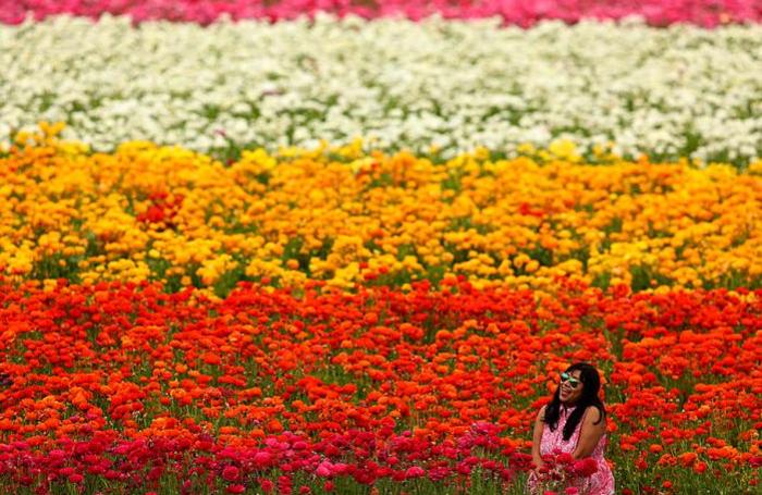 Весна-красна