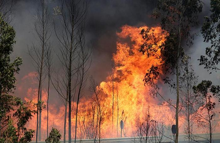 В смертельной ловушке