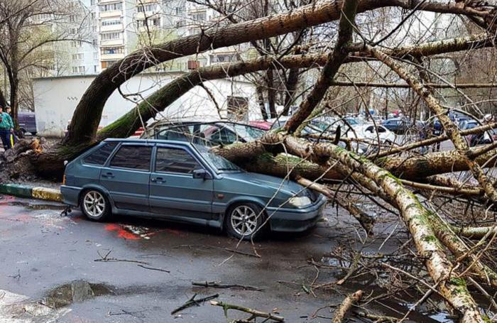 Внезапная непогода