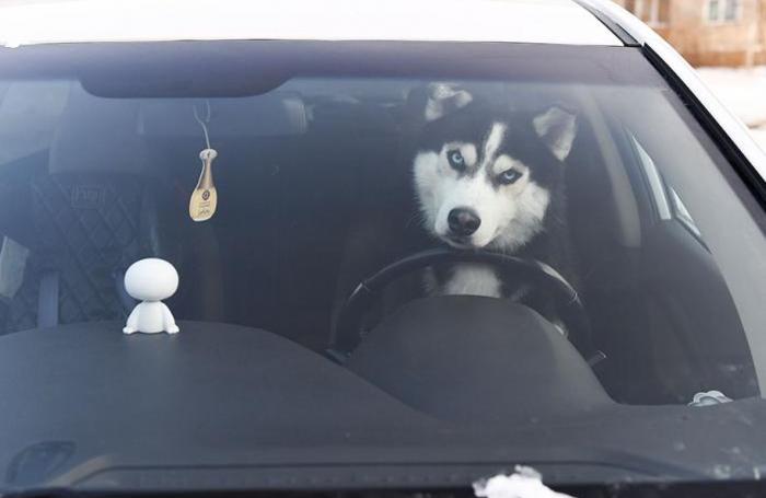 С ветерком!