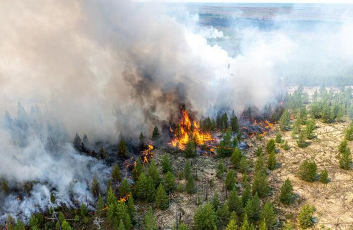 Лесные пожары в ХМАО