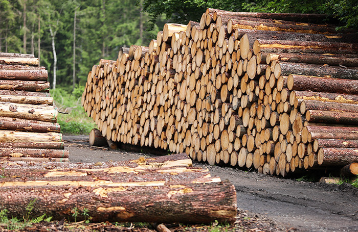12 月，Rosselkhoznadzor 登记出口超过 17.3 万立方米的木材