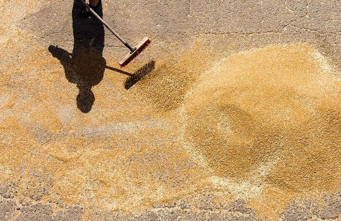 Уборка урожая пшеницы в Херсонской области.