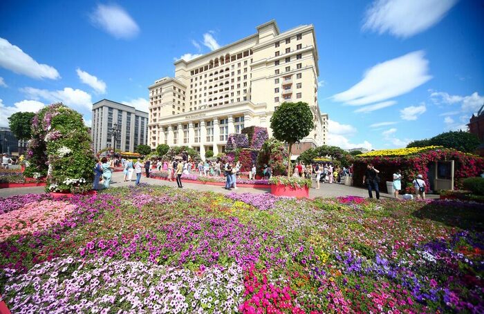 Тропическое лето в Москве