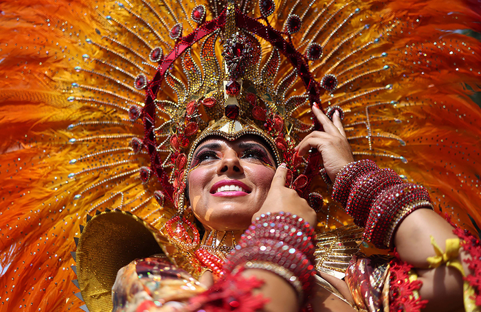 Перья, крылья и хвосты