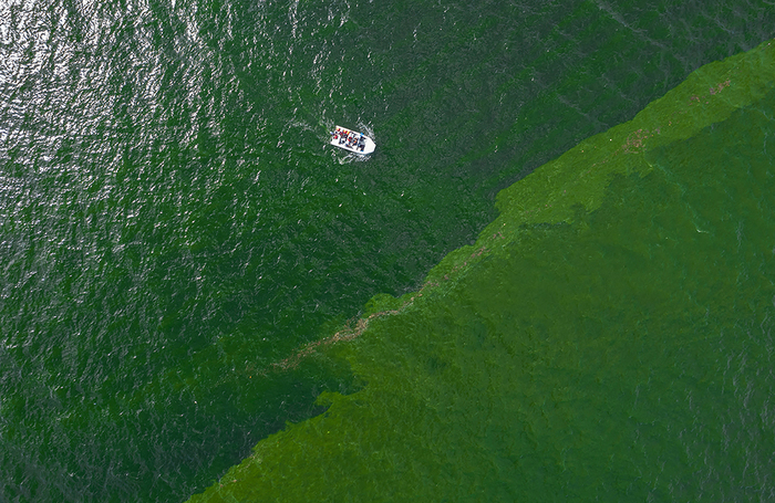 Вид с воздуха на зеленую морскую воду, вызванную цветением планктона, на побережье Чонбури, Таиланд.