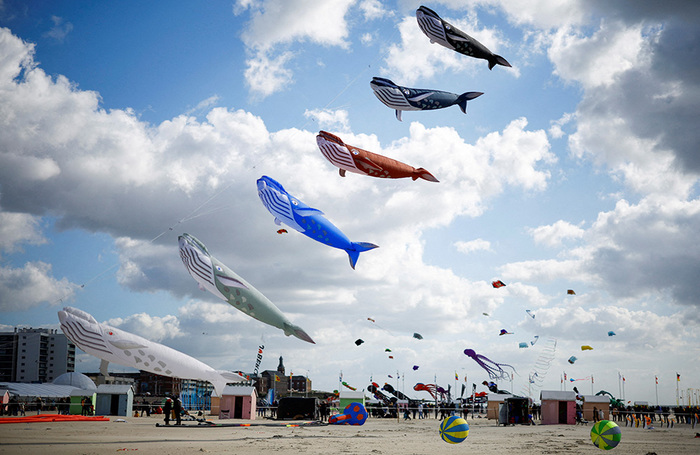 Международный фестиваль воздушных змеев в Берк-сюр-Мер. Франция.