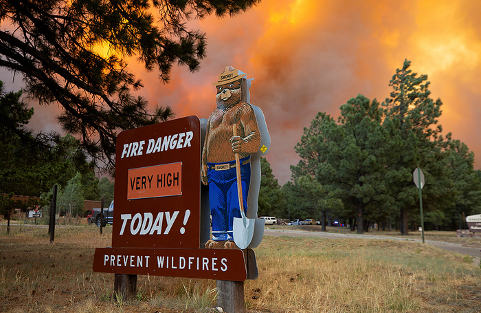 Пожар в Саут-Форк возле Руидосо, штат Нью-Мексико, США.