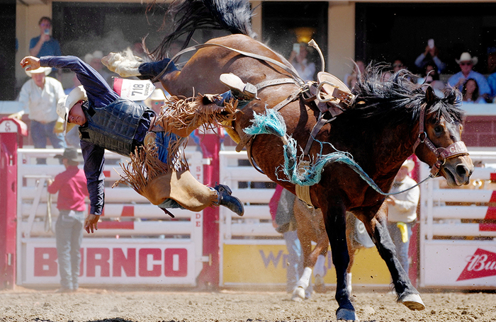 Участник соревнований во время родео на Calgary Stampede в Калгари, Альберта, Кана