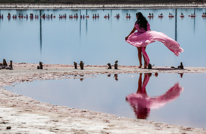 Розовое озеро Сасык-Сиваш в Крыму.