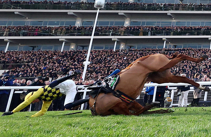 Падение на скачках в Челтнеме. Великобритания.