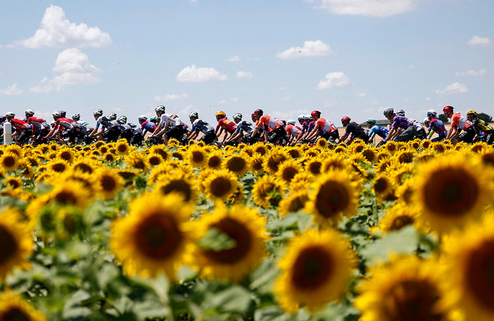 Самая престижная в мире