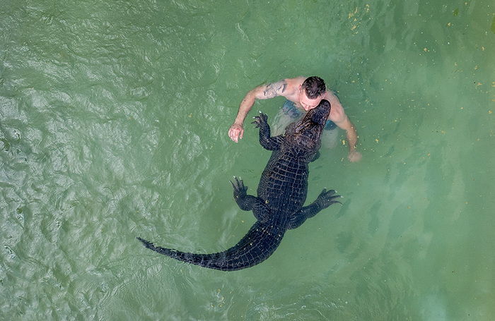 Бывший артист цирка Кристиан Каулис плавает в открытом бассейне с аллигатором по кличке миссис Майер. Эльменхорст, Германия.