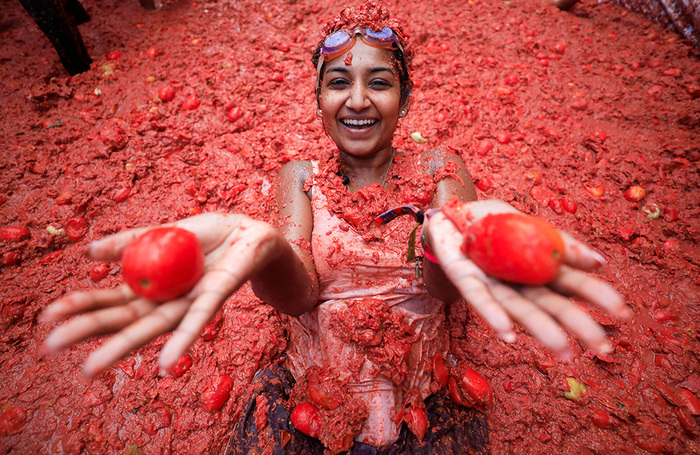 Помидорные сражения