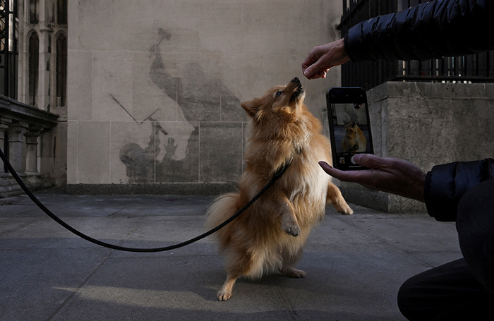 Женщина фотографирует свою собаку на фоне остатков фрески художника Бэнкси после того, как она была почти полностью стерта со стены здания Королевского суда в Лондоне.