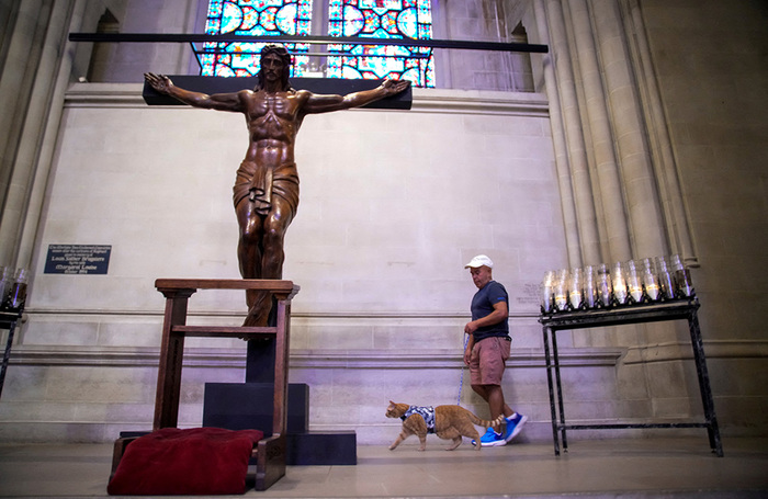 Кошка с хозяином во время обряда благословения домашних животных на ежегодном празднике Святого Франциска в соборе Святого Иоанна Богослова в районе Манхэттен, Нью-Йорк, США.