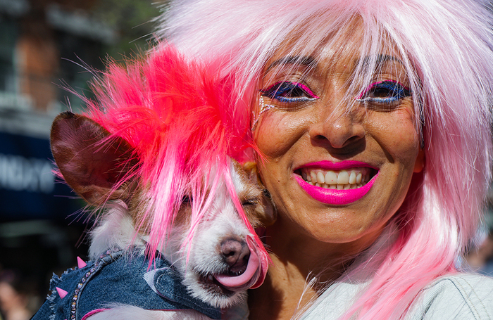 Ежегодный костюмированный парад собак в преддверии Хеллоуина в Нью-Йорке.