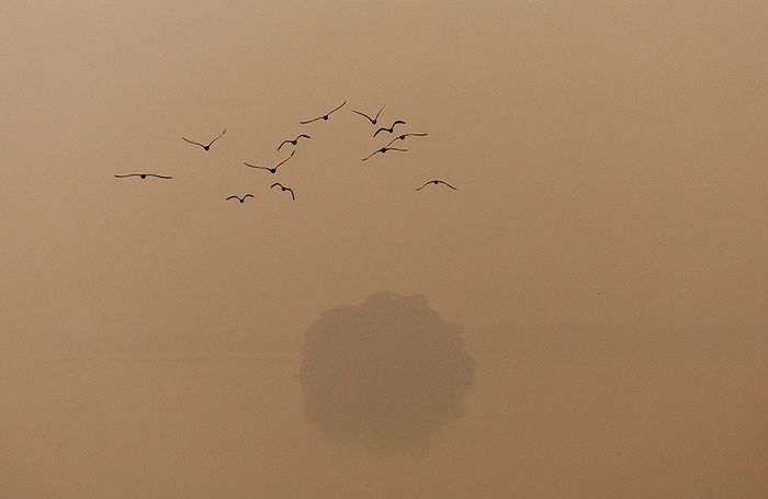 Смог в в Нью-Дели, Индия.