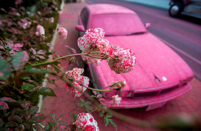 Фотокадры уходящего года