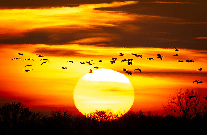 Рассвет над рекой Вюмме в Бремене.