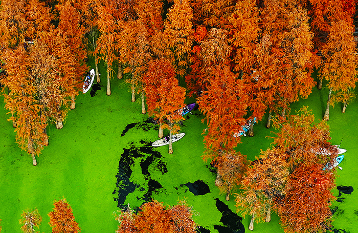 Путешествия и туризм: национальный лесной парк озера Циншань в Китае.