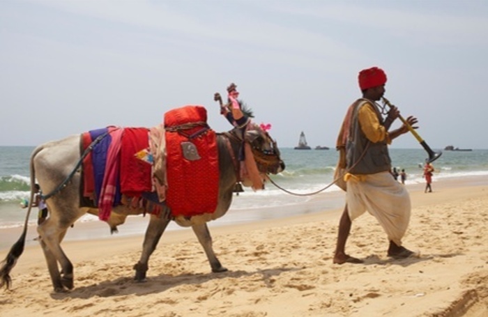 Мантры, рисовое пиво, битва оленя с королем: как отмечали праздники в Индии