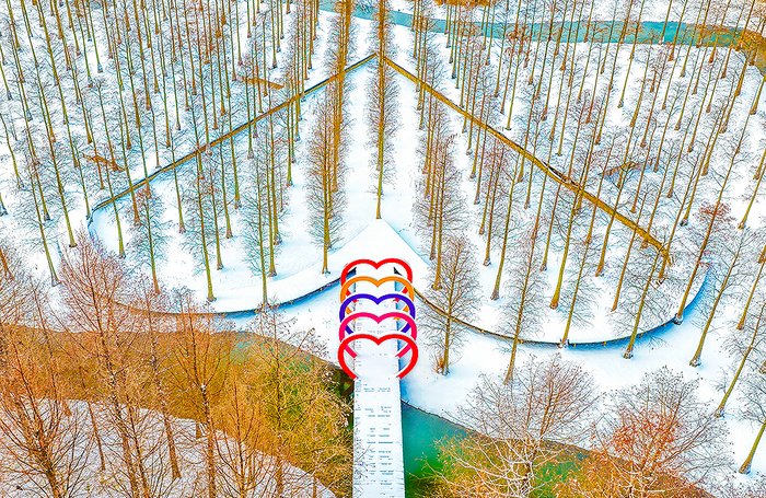 Заснеженные леса метасеквойи в провинции Цзянсу на востоке Китая.