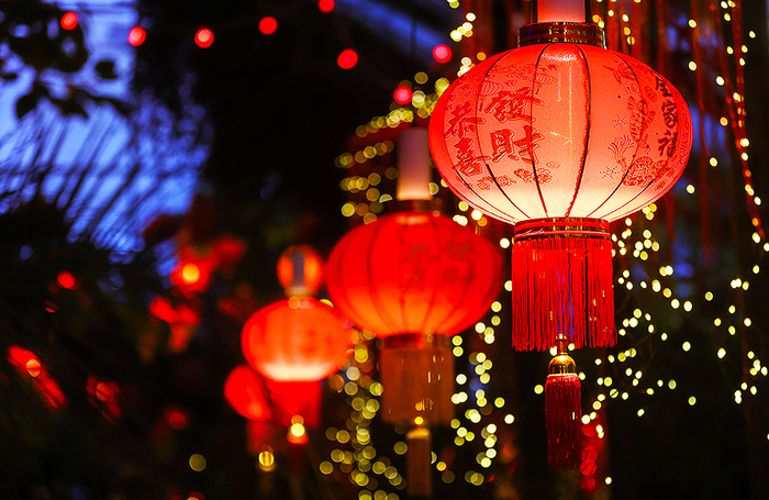 Украшения на фестивале китайского Нового года в Аптекарском огороде.