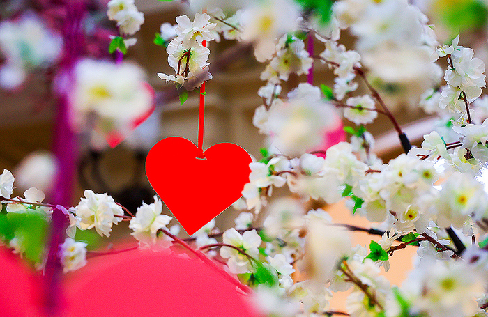 Украшения ко Дню всех влюбленных в ГУМе. 